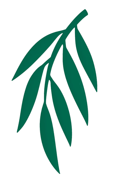 Willow Logo